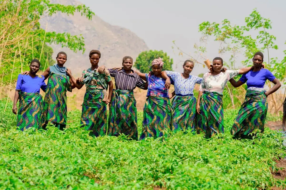 Eight women farmers stand proudly in their tomato field